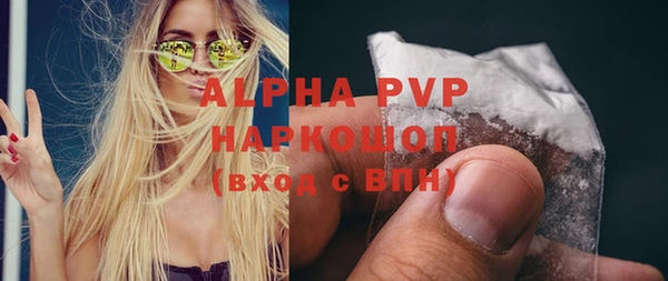 индика Долгопрудный