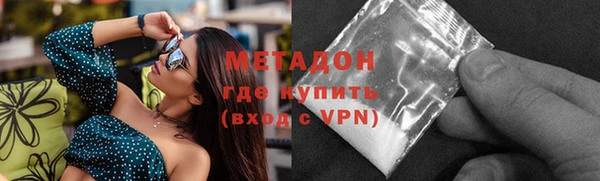 индика Долгопрудный