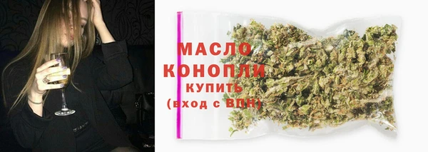 индика Долгопрудный
