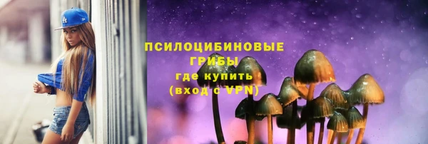 не бодяженный Санкт-Петербург