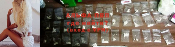 индика Долгопрудный