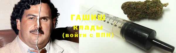 индика Долгопрудный