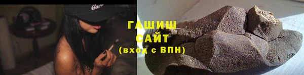 индика Долгопрудный