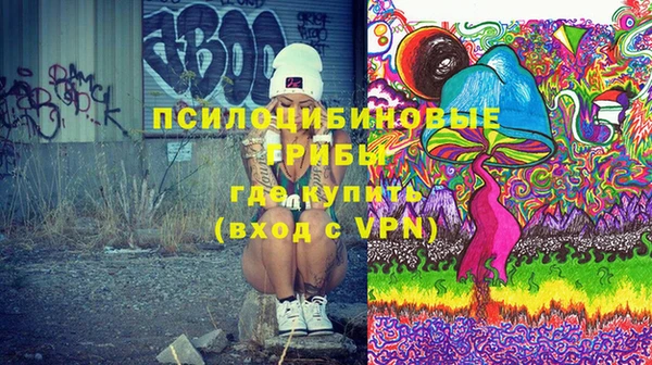 не бодяженный Санкт-Петербург