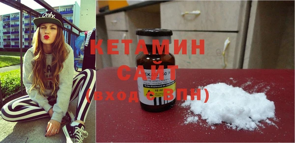 индика Долгопрудный