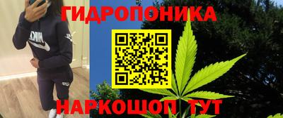 таблы Будённовск