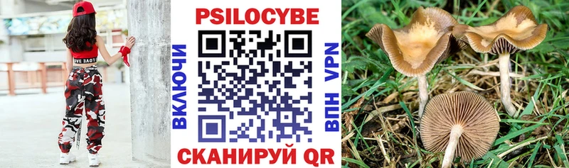 Псилоцибиновые грибы мухоморы Всеволожск