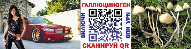 Галлюциногенные грибы ЛСД  Всеволожск 