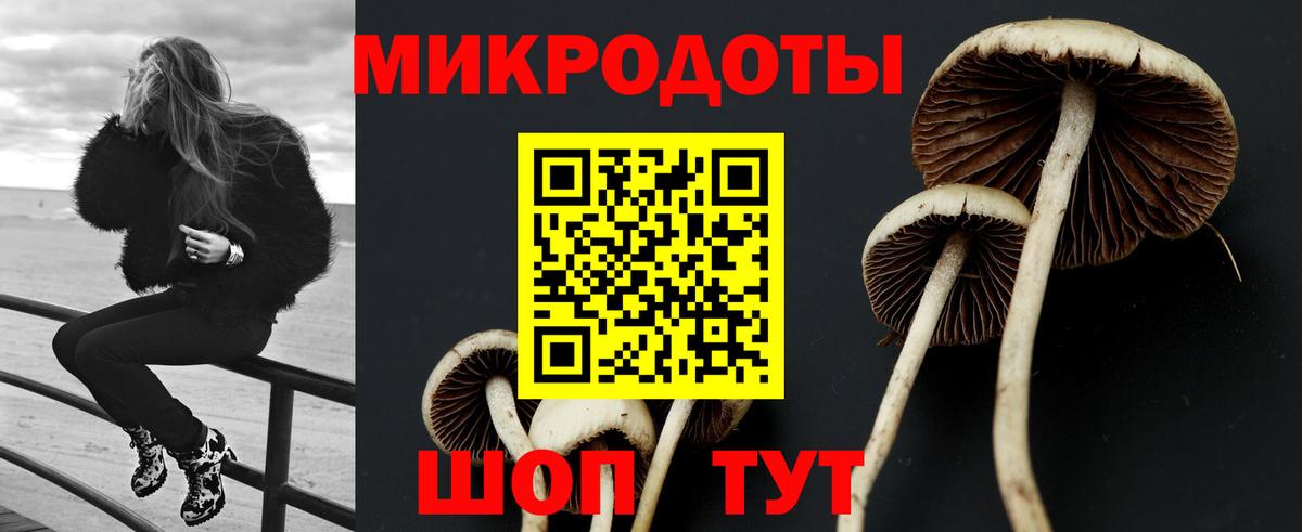 Галлюциногенные грибы ЛСД Всеволожск
