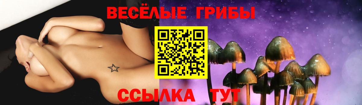 Псилоцибиновые грибы Magic Shrooms  купить наркотики цена  Всеволожск 